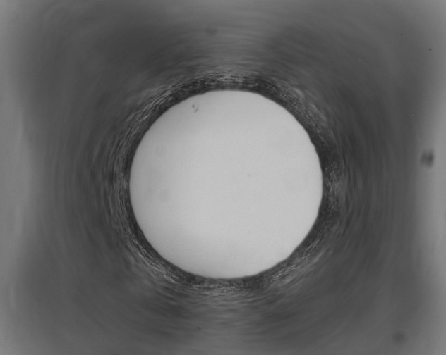 X0000097660769200802290921