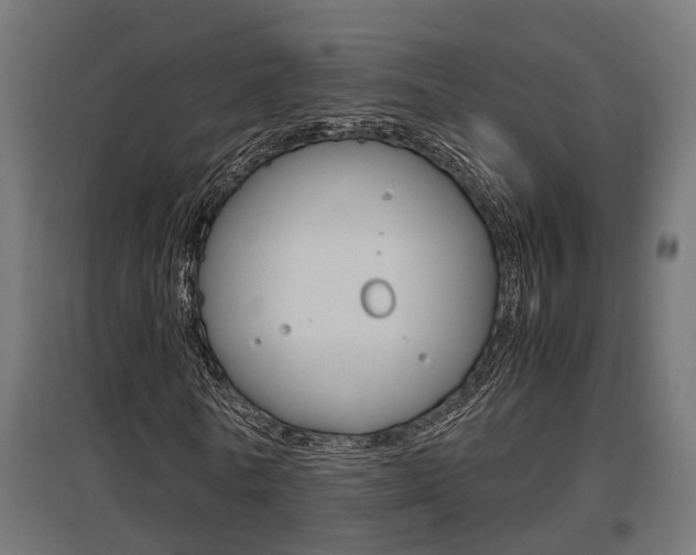 X0000097660770200802290921