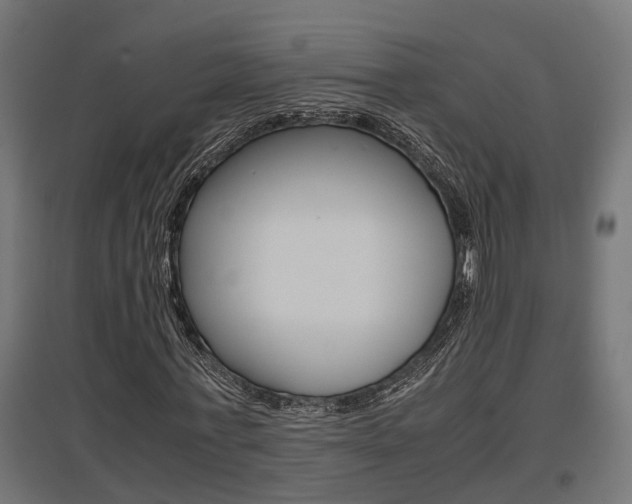 X0000097660771200802290921