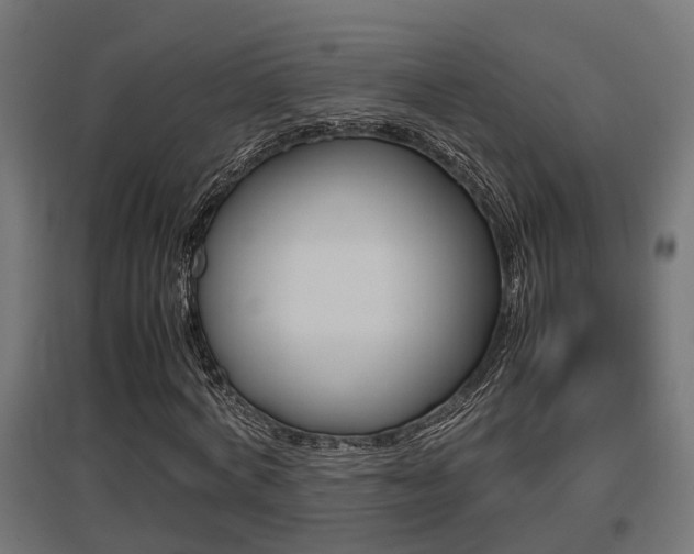X0000097660772200802290921