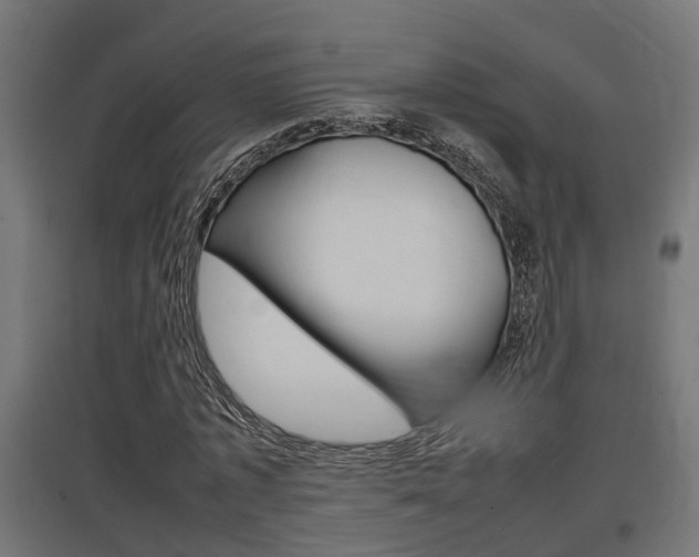 X0000097660773200802290921