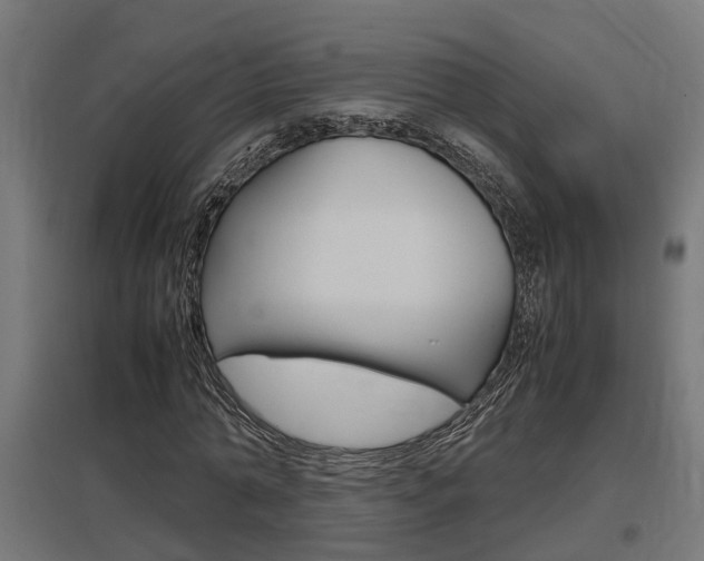 X0000097660774200802290921