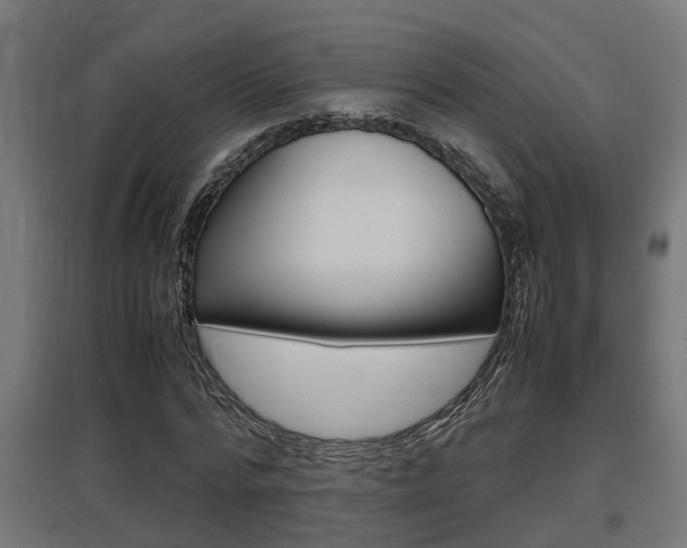 X0000097660776200802290921