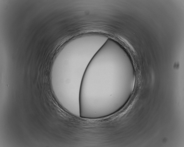 X0000097660777200802290921