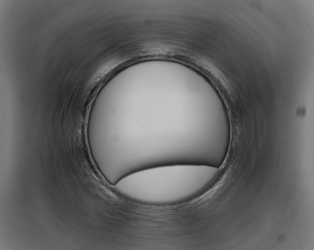 X0000097660778200802290921