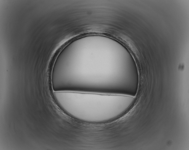 X0000097660779200802290920