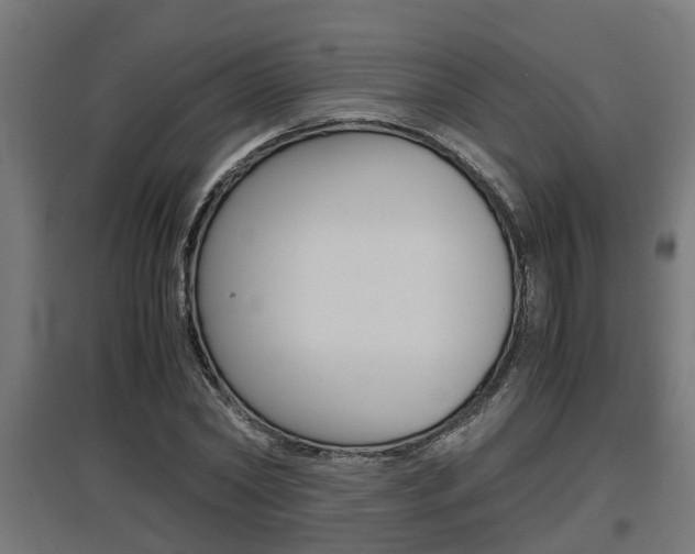 X0000097660782200802290920