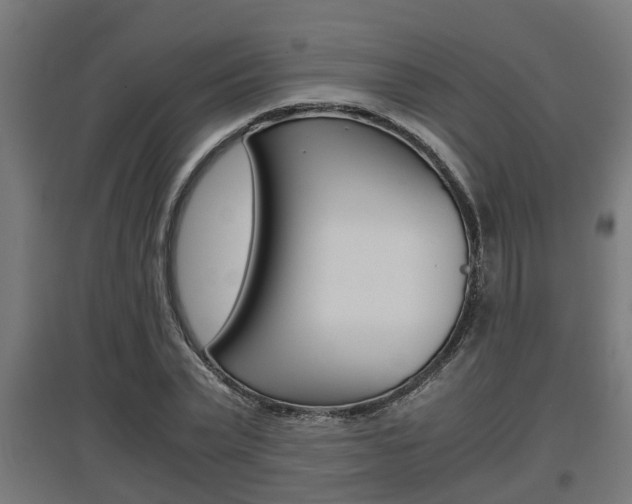 X0000097660783200802290920