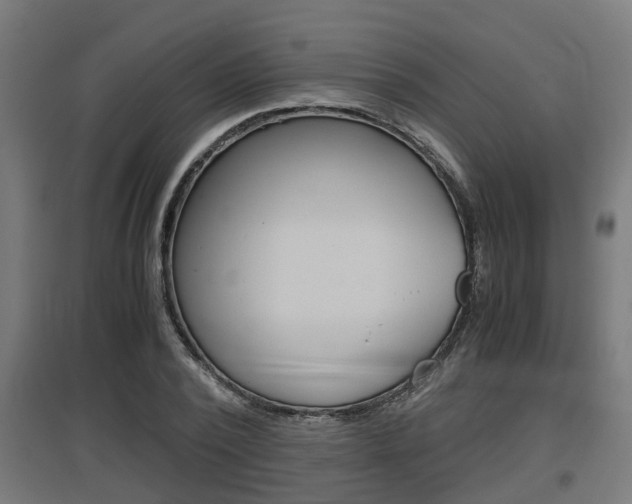 X0000097660784200802290920