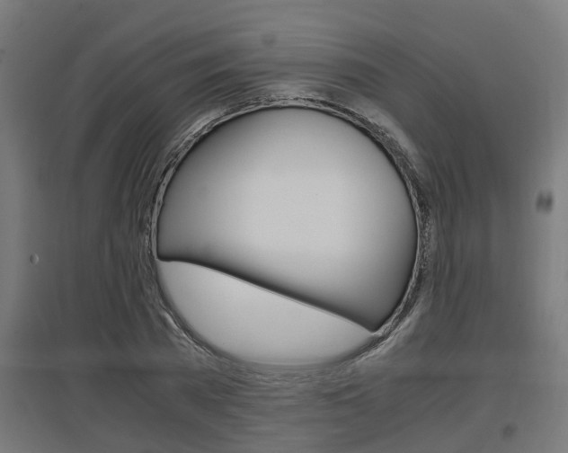 X0000097660785200802290920
