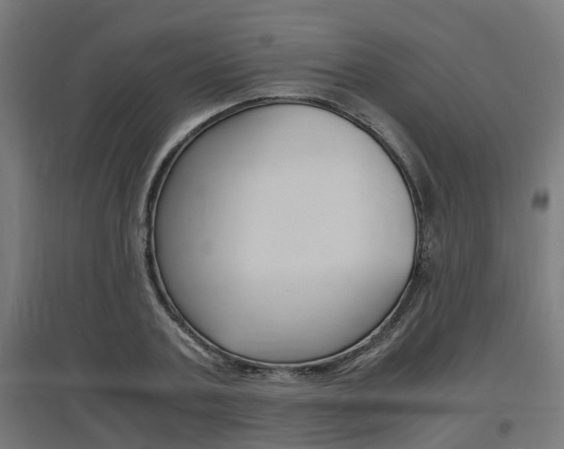 X0000097660787200802290920