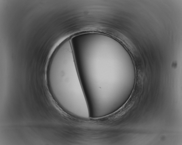 X0000097660788200802290920