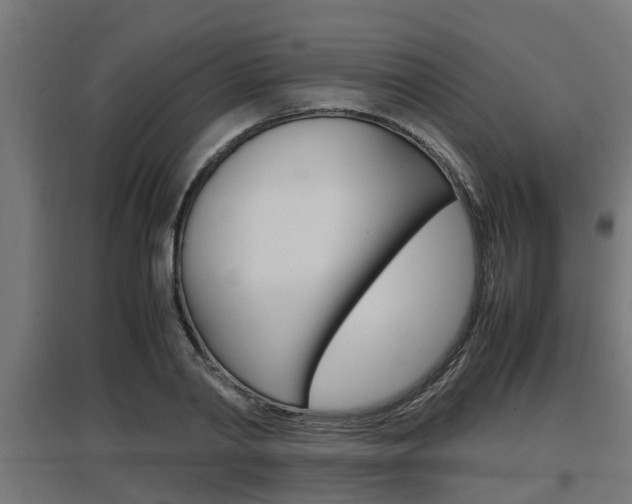 X0000097660790200802290920