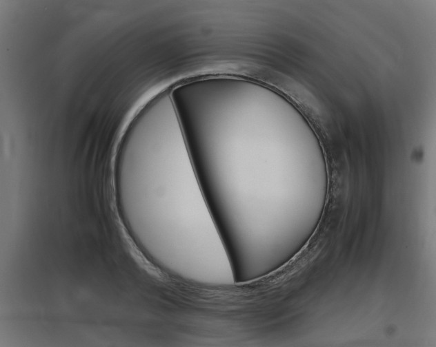 X0000097660792200802290920