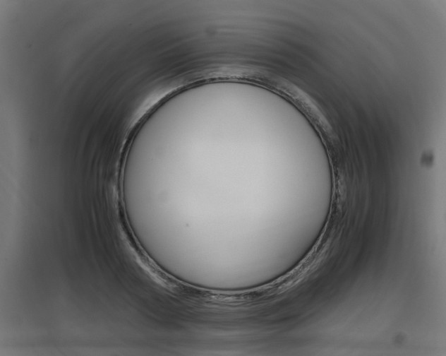 X0000097660794200802290920