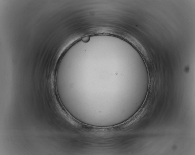 X0000097660798200802290920