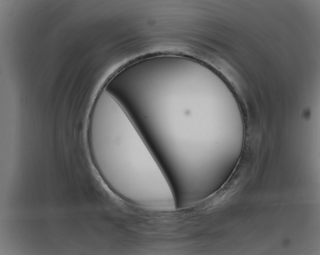 X0000097660799200802290920