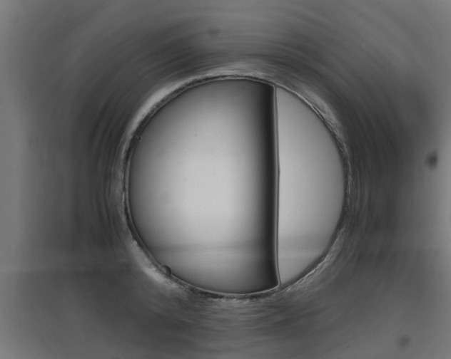 X0000097660800200802290920
