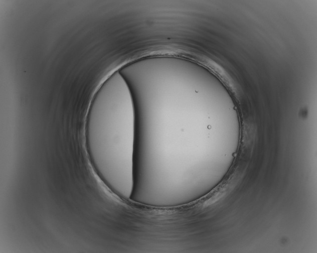 X0000097660802200802290920
