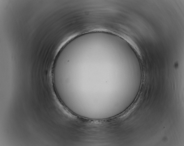 X0000097660806200802290920