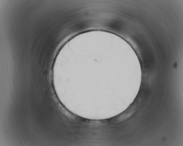 X0000097660807200802290920