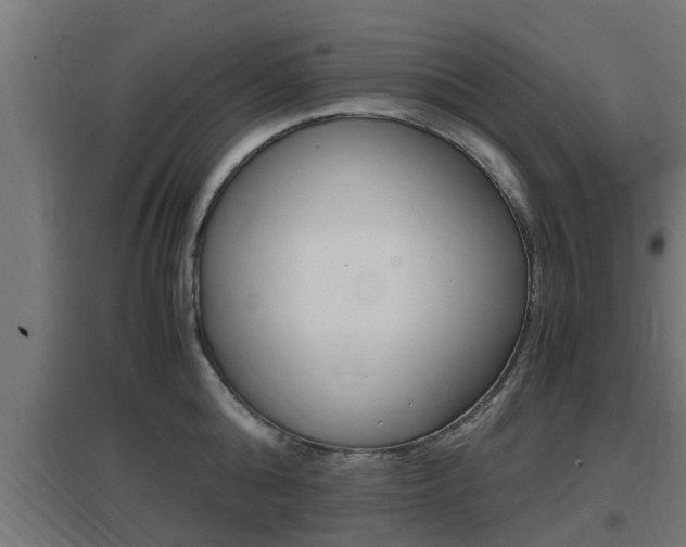 X0000097660808200802290920