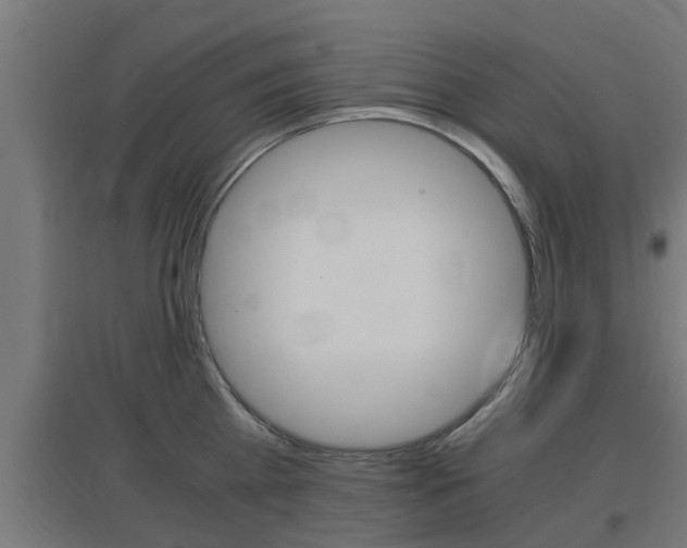 X0000097660809200802290920