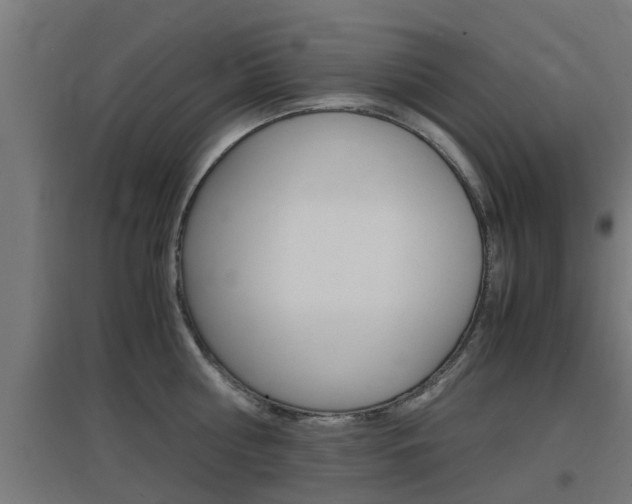 X0000097660810200802290920