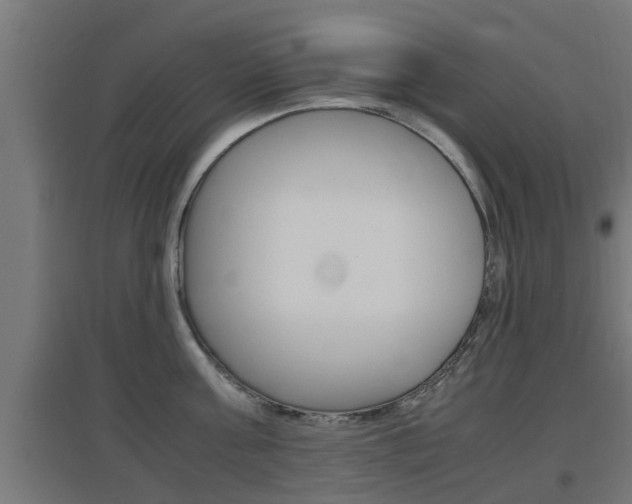 X0000097660811200802290920