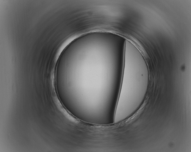X0000097660812200802290920