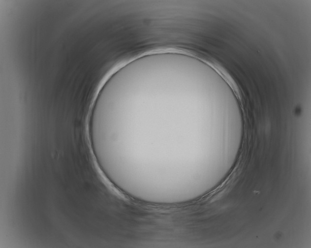 X0000097660813200802290920