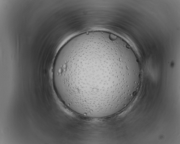X0000097660814200802290920