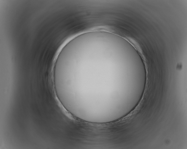 X0000097660816200802290920