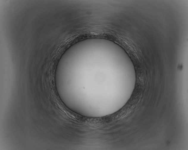 X0000097660817200802290919