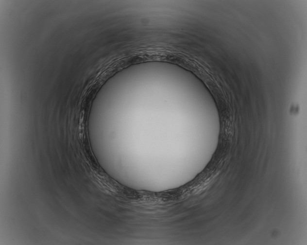 X0000097660818200802290919
