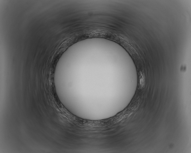 X0000097660819200802290919