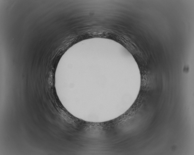 X0000097660820200802290919