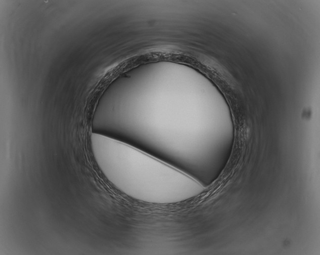 X0000097660822200802290919