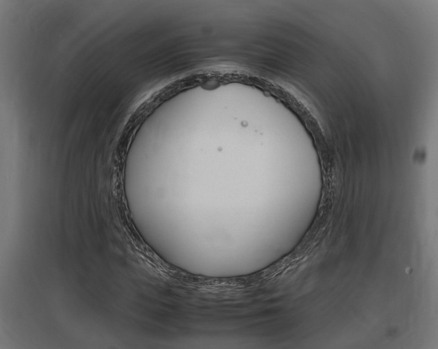 X0000097660823200802290919