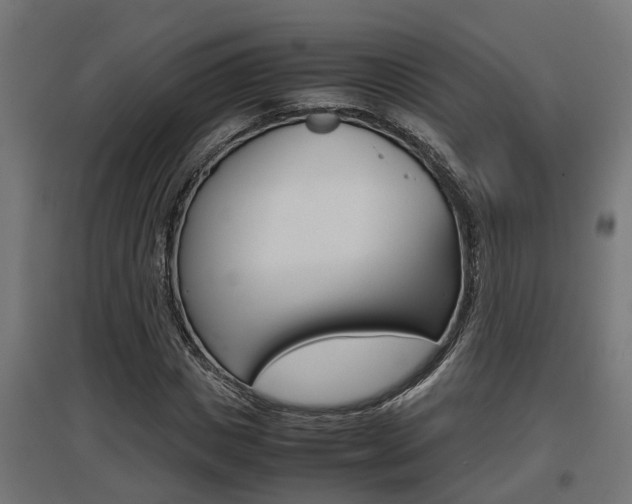 X0000097660825200802290919