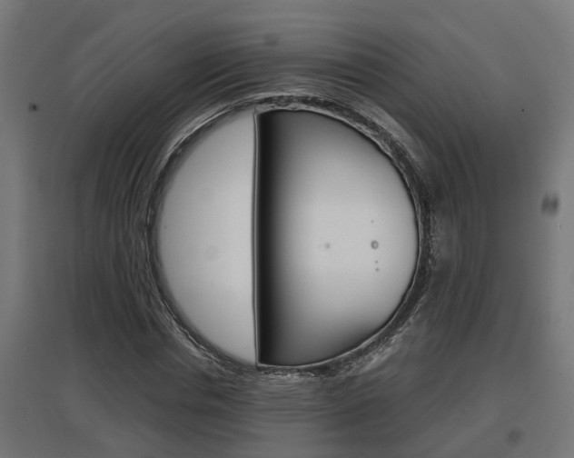 X0000097660826200802290919