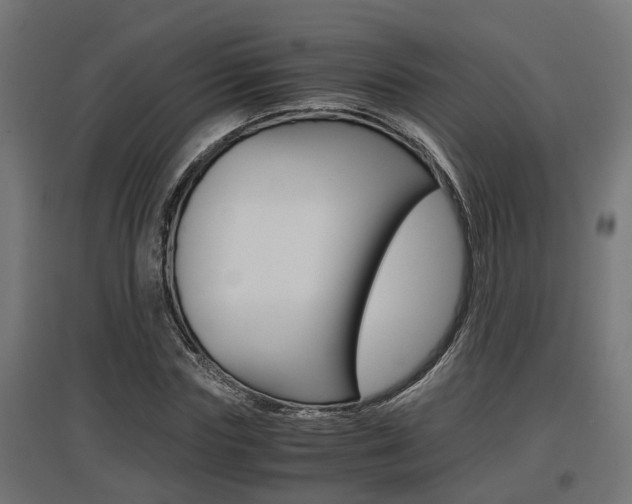 X0000097660827200802290919
