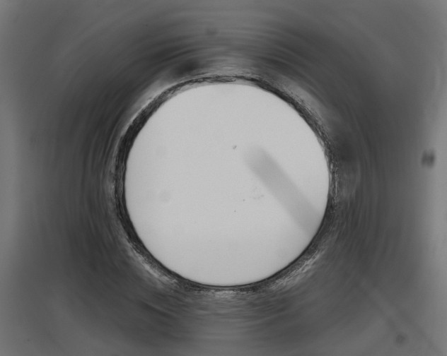 X0000097660828200802290919