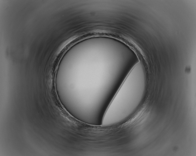 X0000097660829200802290919
