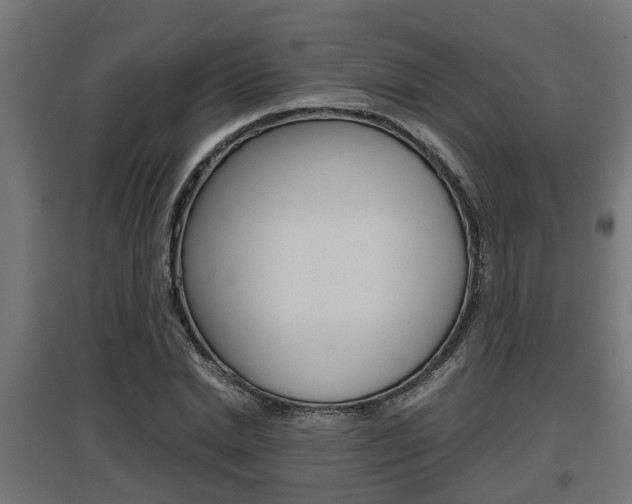X0000097660830200802290919