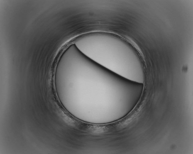 X0000097660831200802290919