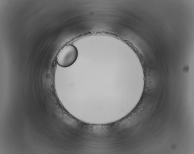 X0000097660832200802290919