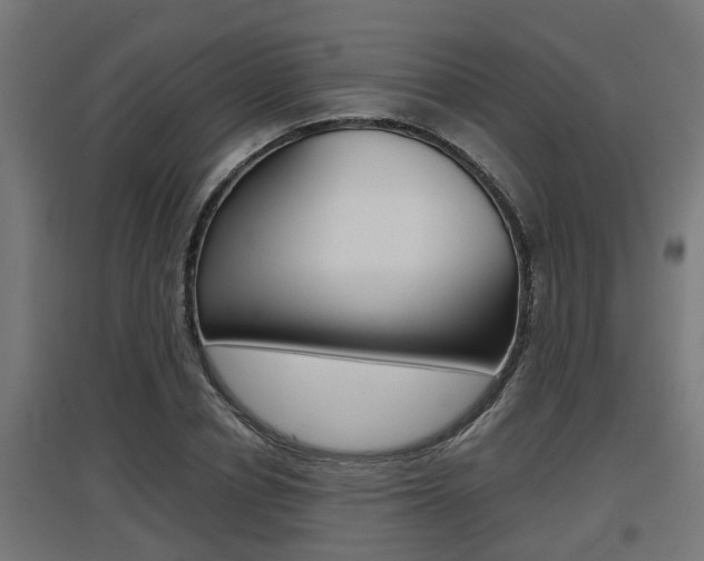 X0000097660834200802290920