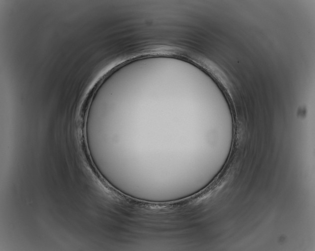 X0000097660835200802290920