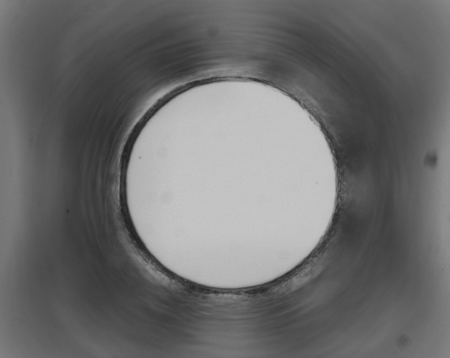 X0000097660836200802290920